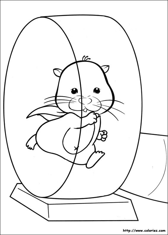 Coloriage et dessins gratuits Hamster qui joue à imprimer