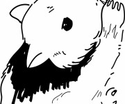 Coloriage Hamster qui mange