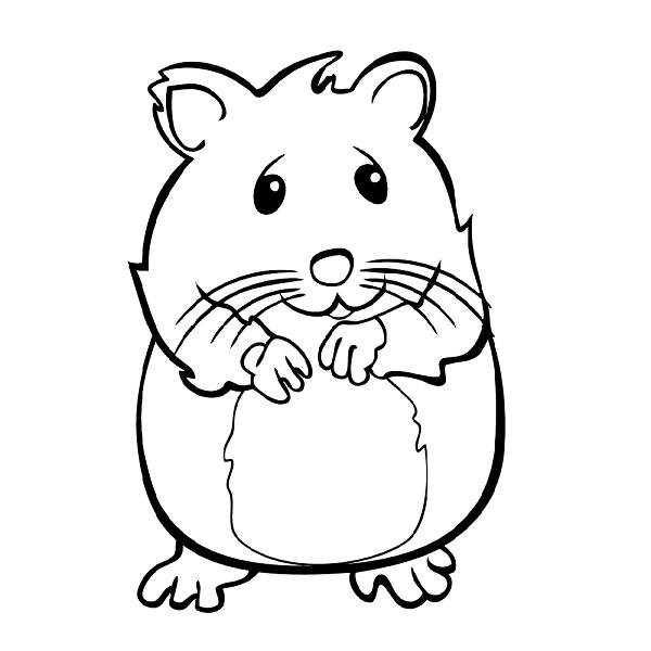 Hamsters - Free Coloring Pages