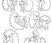 Coloriage Collection de plusieurs H&eacute;rissons