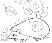 Coloriage H&eacute;risson au milieu des feuilles tombant pour l'automne