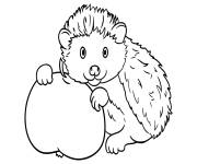 Coloriage et dessins gratuit H&eacute;risson avec le regard tout mignon à imprimer