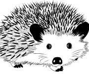 Coloriage H&eacute;risson avec pic