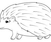 Coloriage H&eacute;risson de petite taille