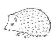 Coloriage et dessins gratuit H&eacute;risson dessin&eacute; facilement à imprimer
