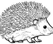 Coloriage H&eacute;risson en ligne