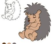 Coloriage H&eacute;risson endormi avec un mod&egrave;le en couleurs