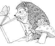 Coloriage H&eacute;risson lisant un livre