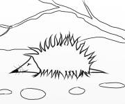 Coloriage et dessins gratuit H&eacute;risson magique pendant la saison d'automne à imprimer