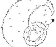 Coloriage H&eacute;risson maman avec son b&eacute;b&eacute;
