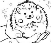 Coloriage H&eacute;risson mignon sur la main