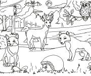 Coloriage et dessins gratuit H&eacute;risson parmi les animaux de la savane à imprimer