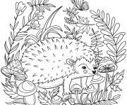 Coloriage H&eacute;risson parmi les plantes de la nature