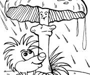 Coloriage H&eacute;risson pendant la saison de plui se prot&egrave;ge sous le champignon