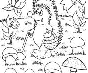Coloriage H&eacute;risson ramasse les champignons