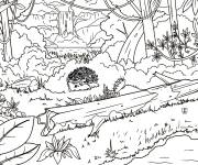 Coloriage h&eacute;risson s'amuse dans la for&ecirc;t de la jungle