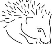 Coloriage H&eacute;risson simple vue de face