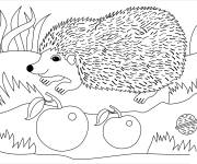 Coloriage H&eacute;risson souriant qui ramasse son repas