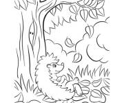 Coloriage H&eacute;risson sous l'arbre