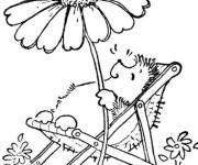 Coloriage Le h&eacute;risson se pr&eacute;lasser au soleil