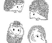 Coloriage Quatre H&eacute;rissons identiques