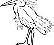Coloriage Aigrette neigeuse debout