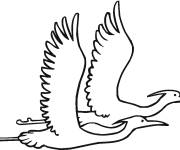 Coloriage et dessins gratuit Couple h&eacute;ron en vol à imprimer