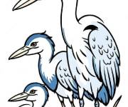 Coloriage Famille des h&eacute;rons