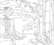 Coloriage Gros H&eacute;ron dans la foret