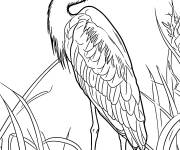 Coloriage H&eacute;ron adulte en couleurs