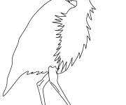 Coloriage H&eacute;ron Aigrette