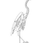 Coloriage H&eacute;ron Ardea pourpre