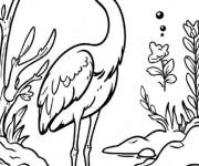 Coloriage H&eacute;ron au bord du ruisseau