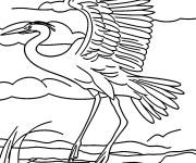 Coloriage H&eacute;ron au crayon