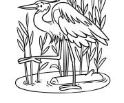 Coloriage H&eacute;ron aux longs pattes dans le lac