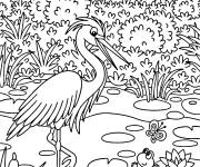 Coloriage H&eacute;ron avec la petite grenouille