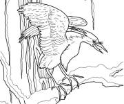Coloriage H&eacute;ron Bihoreau