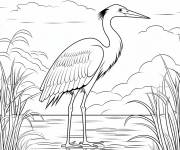 Coloriage H&eacute;ron bleu adorable