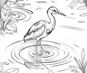 Coloriage H&eacute;ron dans le reflet de l'&eacute;tang