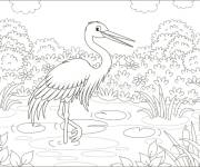 Coloriage H&eacute;ron dans un petit lac