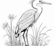 Coloriage H&eacute;ron debout en ligne