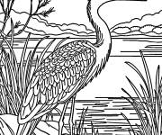 Coloriage H&eacute;ron devant la mer