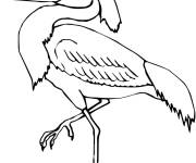 Coloriage H&eacute;ron &eacute;chassier