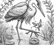 Coloriage H&eacute;ron en jouant dans l'eau