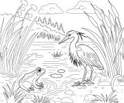 Coloriage H&eacute;ron et la grenouille dans le lac