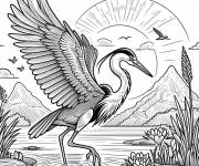 Coloriage H&eacute;ron gris d&eacute;polie ses ailes sous le soleil