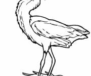 Coloriage et dessins gratuit H&eacute;ron gris facile à imprimer