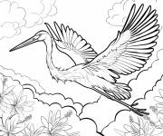 Coloriage H&eacute;ron gris volant