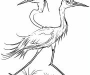 Coloriage H&eacute;ron marcheur