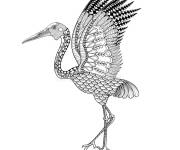Coloriage H&eacute;ron oiseau anti-stress